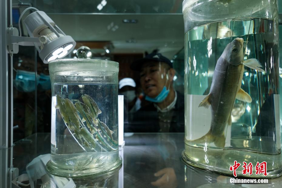 成 人 影 院 在 线