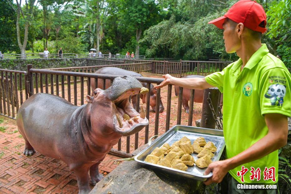 小茉莉