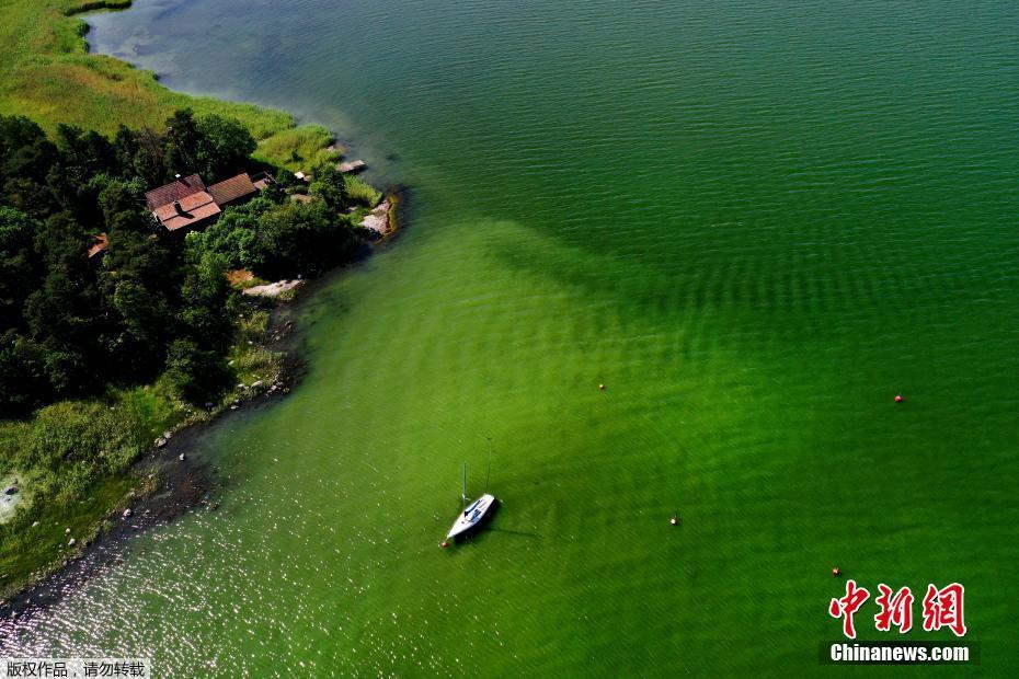 数九是从哪个节气开始 蚂蚁庄园今日答案数九[多图]