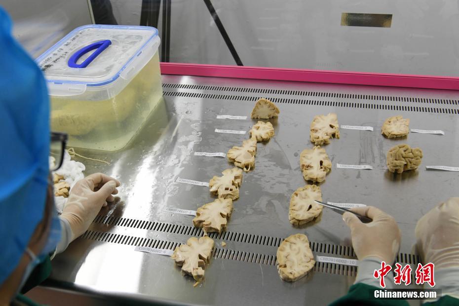 黄色视频毛片