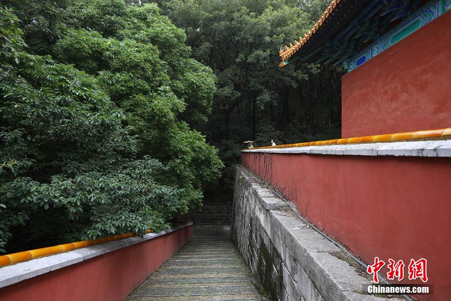 性Free老太婆性XXX