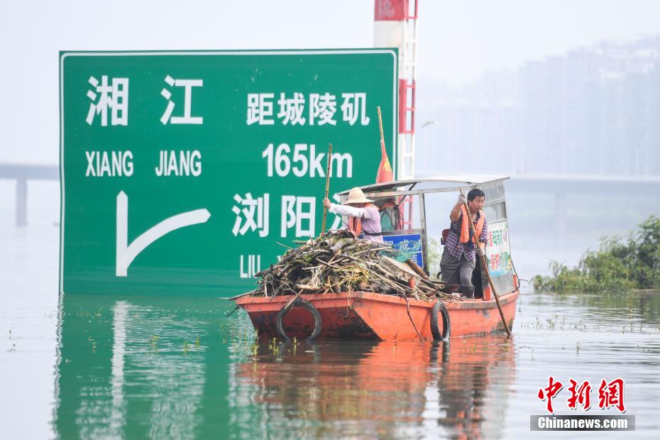 欧美肥婆之性另类