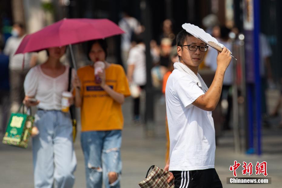 健身小葉