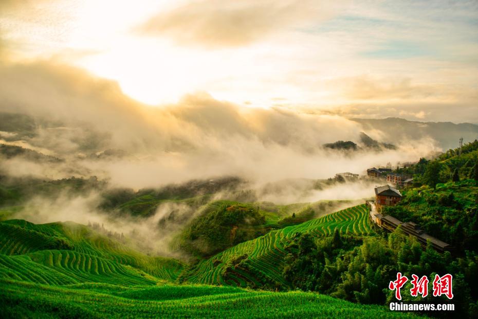 免费黄片，下载