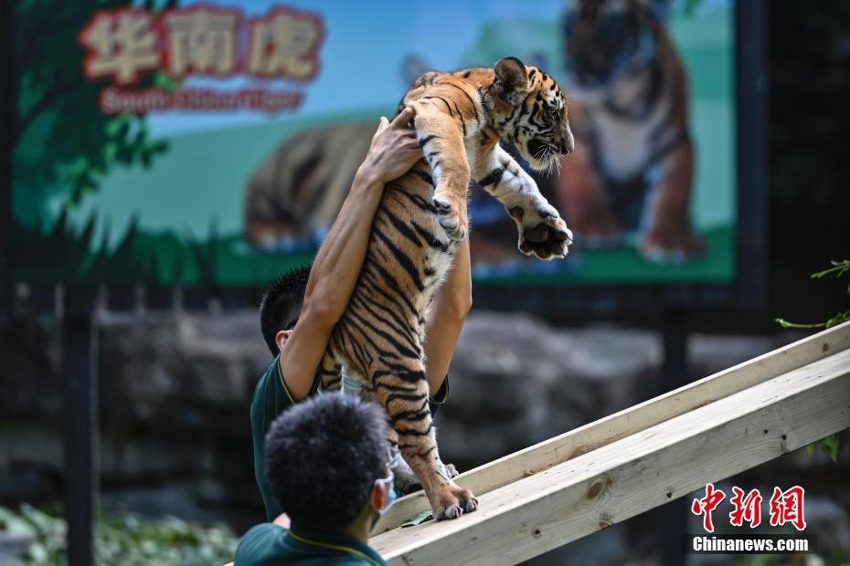 国产成人视频