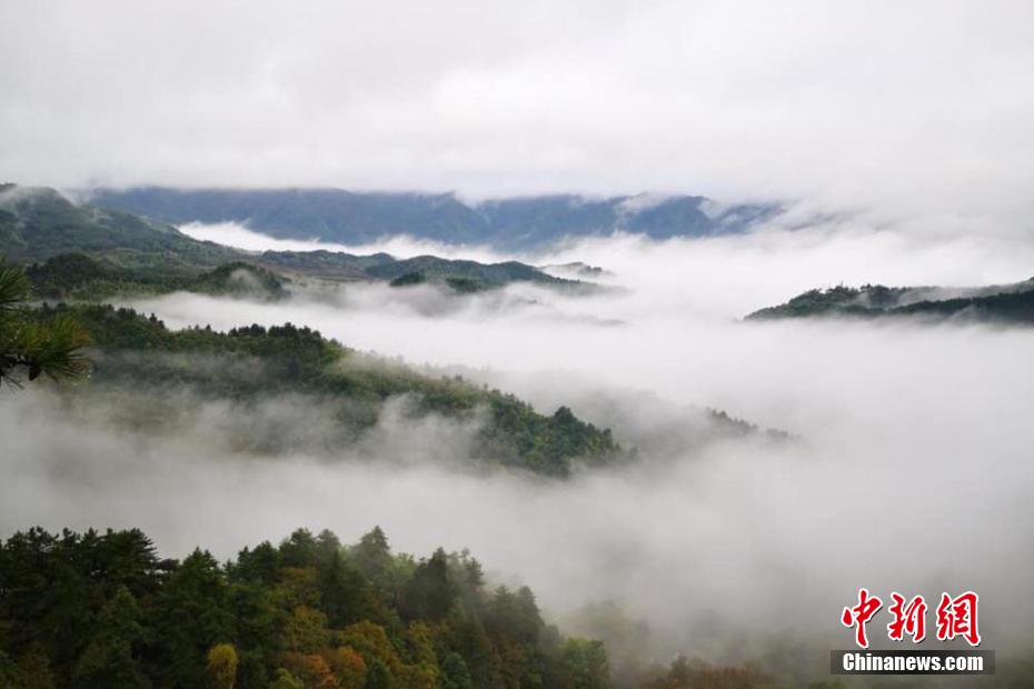 免费播放中国老年人一级操逼大片