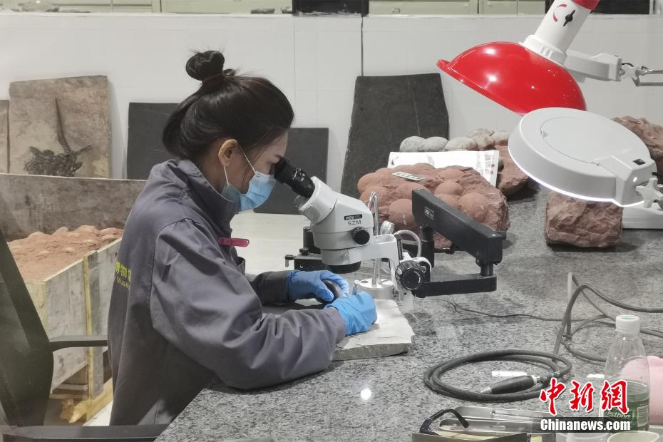 黄色吃奶网站