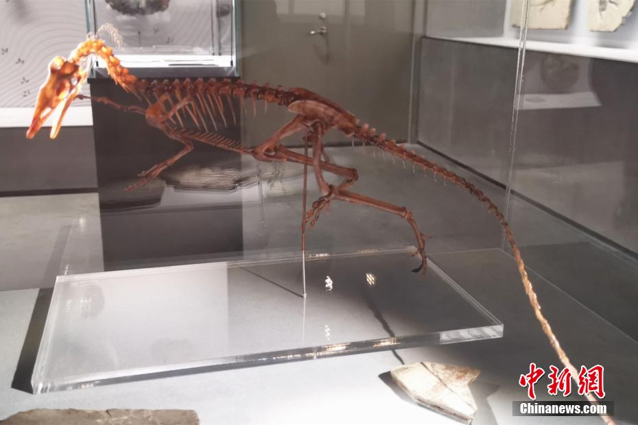 台湾黄三级高清在线观看