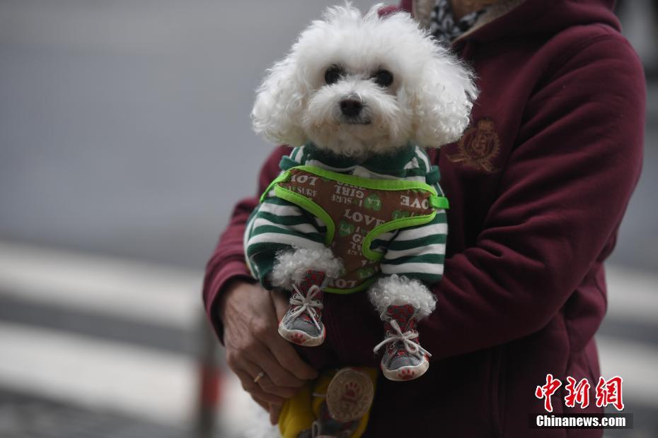 刘亦菲一级录像毛片