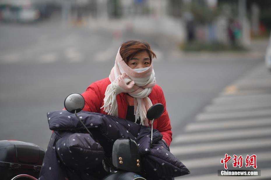 小林龍介