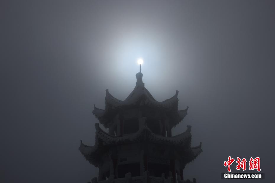 桃子调教色情片