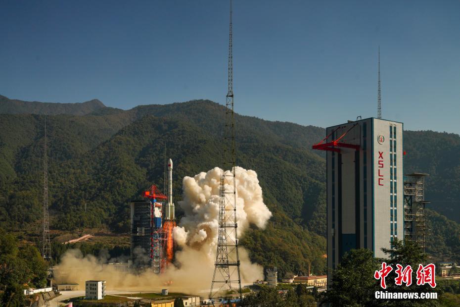 美国一级A级黄免