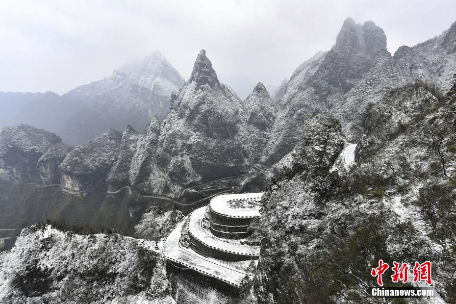 无码群交淫乱