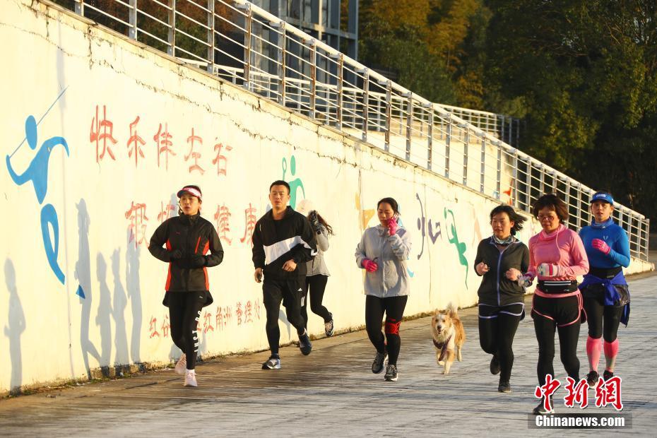 女生裸体动漫无遮挡