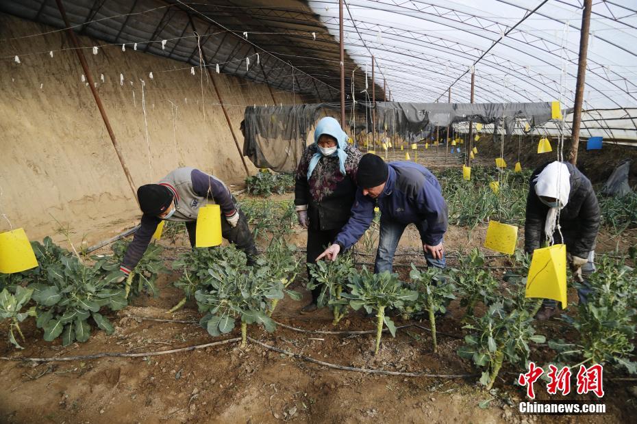 亚洲18 在线天美传媒