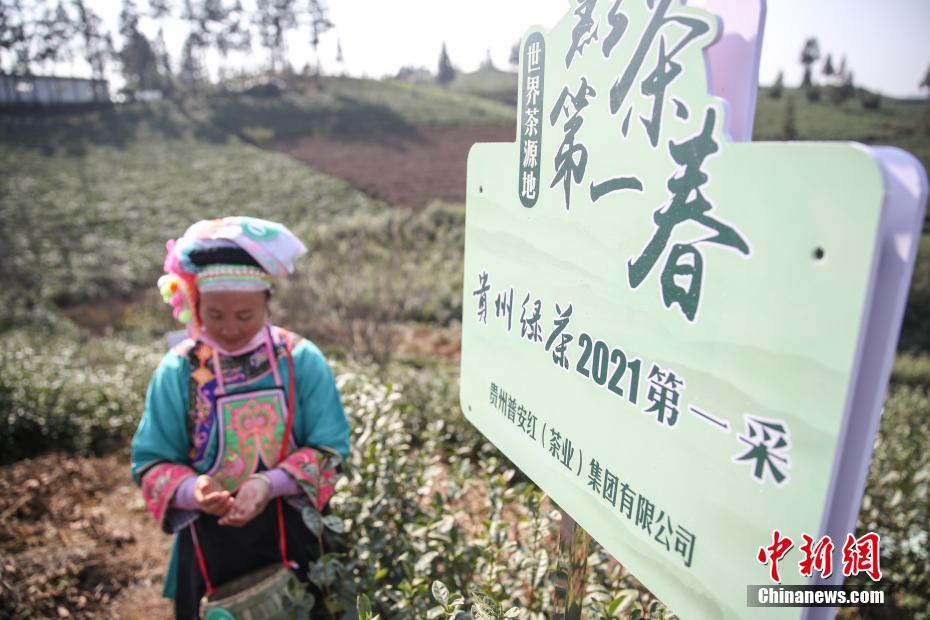 唐三的坤坤放在宁荣荣哪里