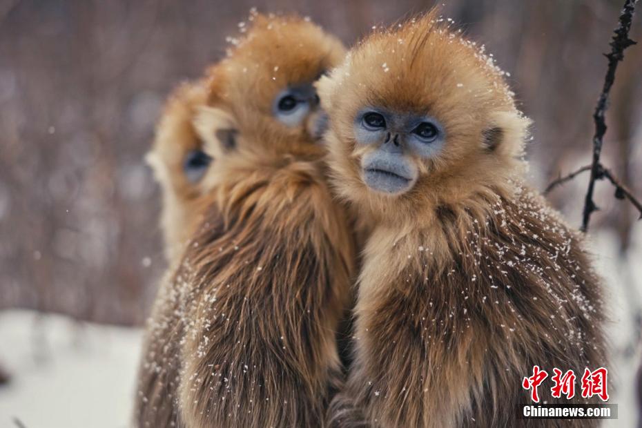 何炅带节奏 五大必玩理由安利《快乐点点消》[多图]