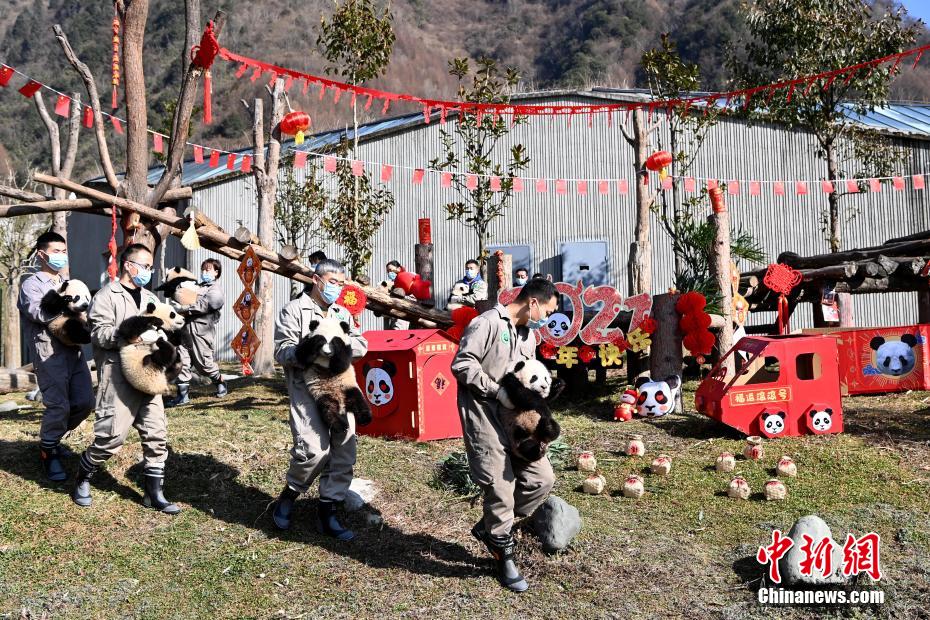 双腿张开被5个男人调教电影