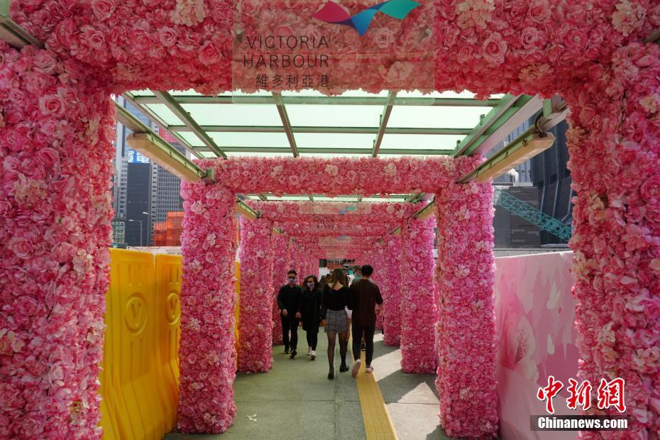 大地资源九页