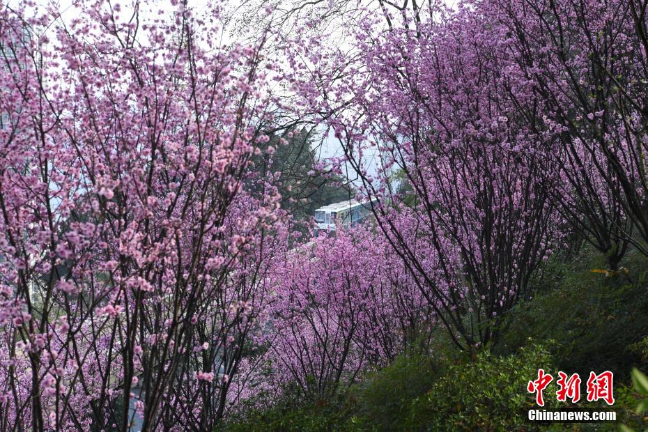 成人 电影 集中营
