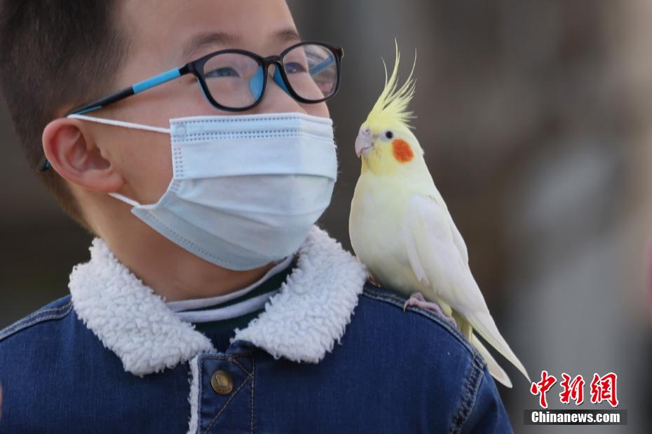 夫妻懲罰遊戲