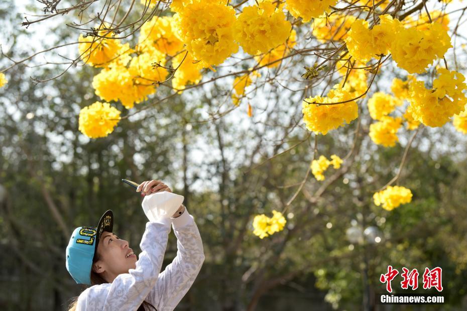欧美日韩三级三级黄片