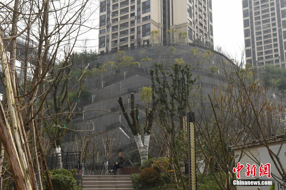 自拍 偷怕 亚洲无码