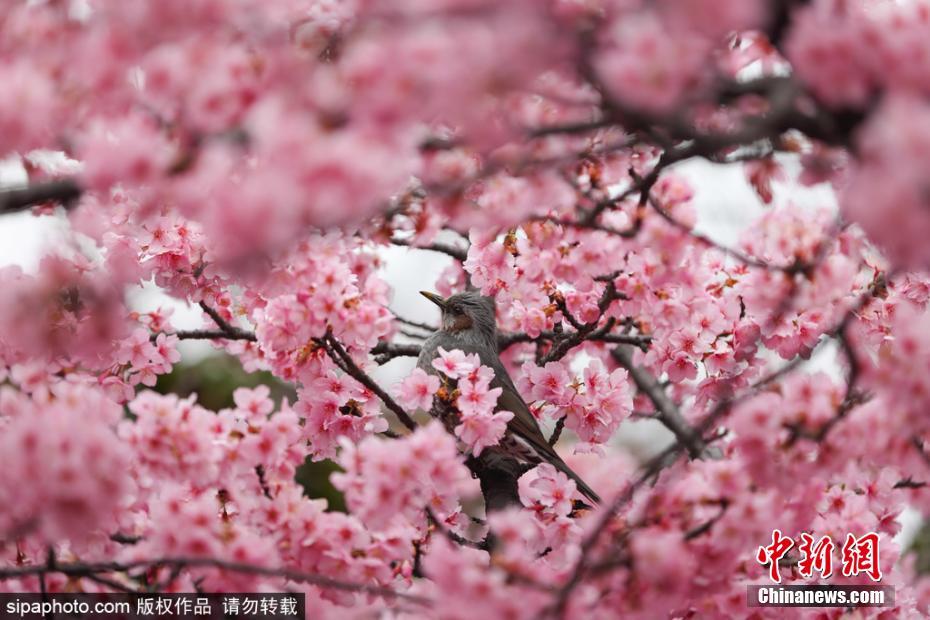 欧洲一区二区三区
