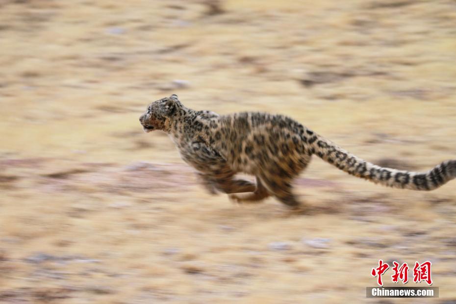 孑立不怕没人陪 打造“双生花”美图