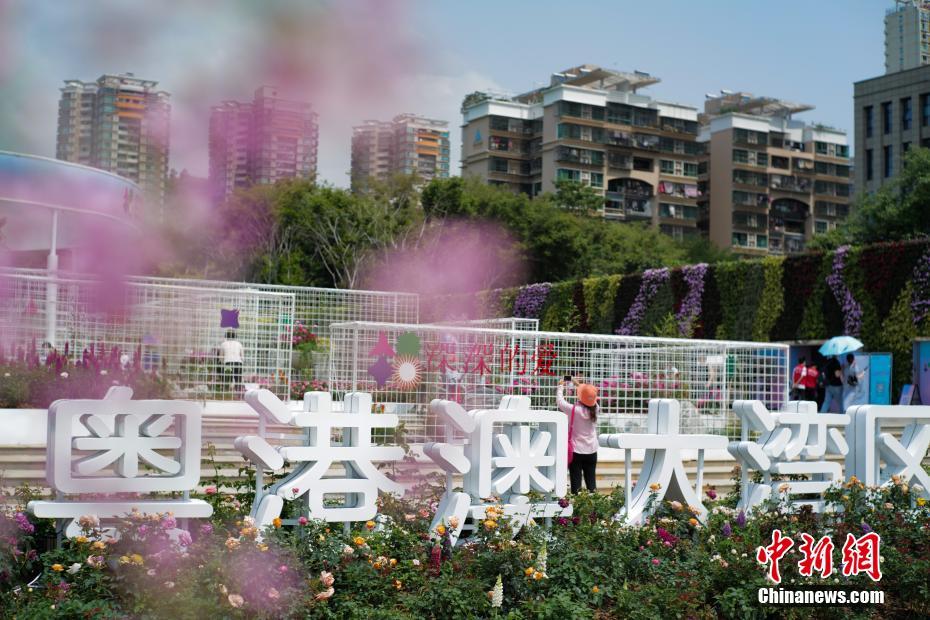 性生活电影三级片三年片