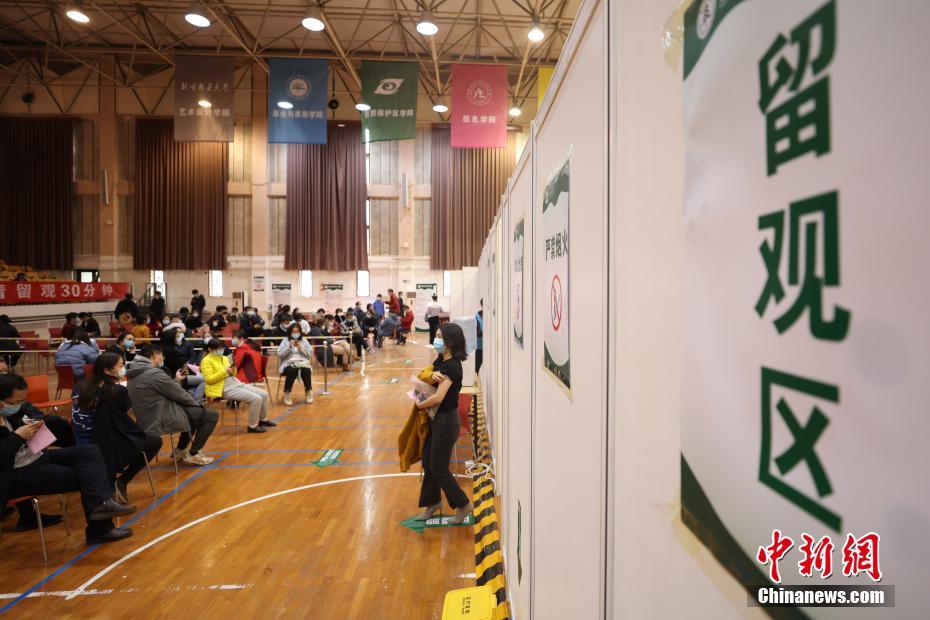 崩壞學園