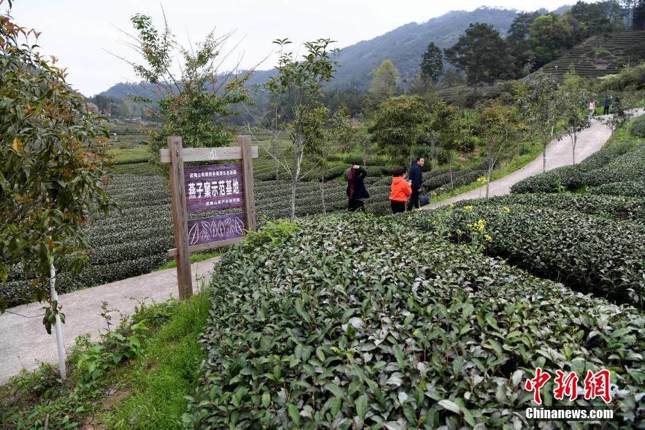 黄色片网站国产