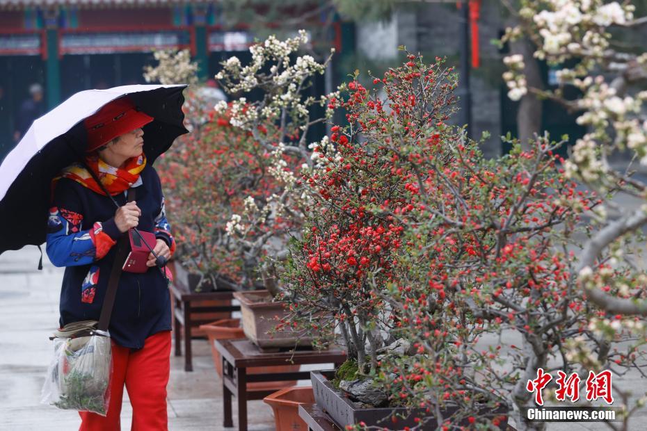 免费中国女明星黄片下载