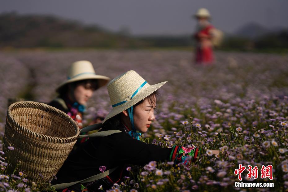 欧美人另类性生活