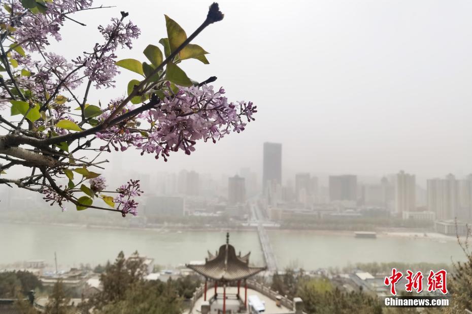 足控免费网站 XxAV88