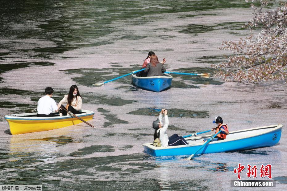 海贼王18禁H本子全彩