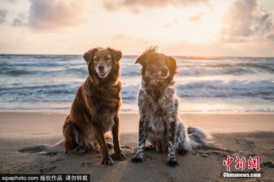 日本熟妇潮喷三浦恵子