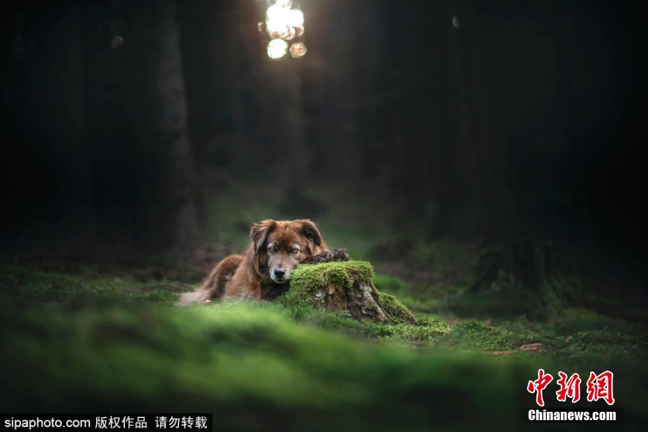四级黄片来一个