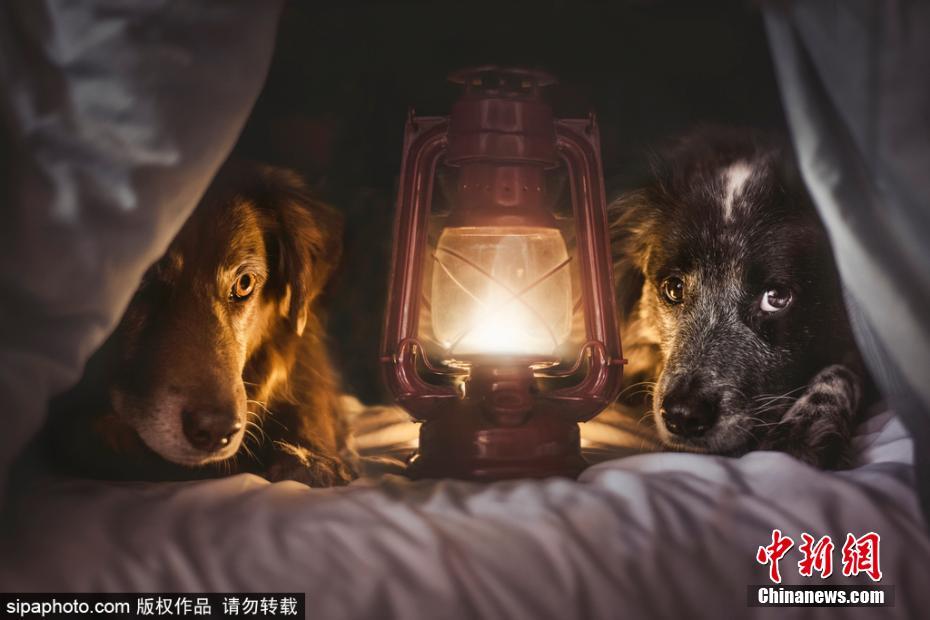 越南看護