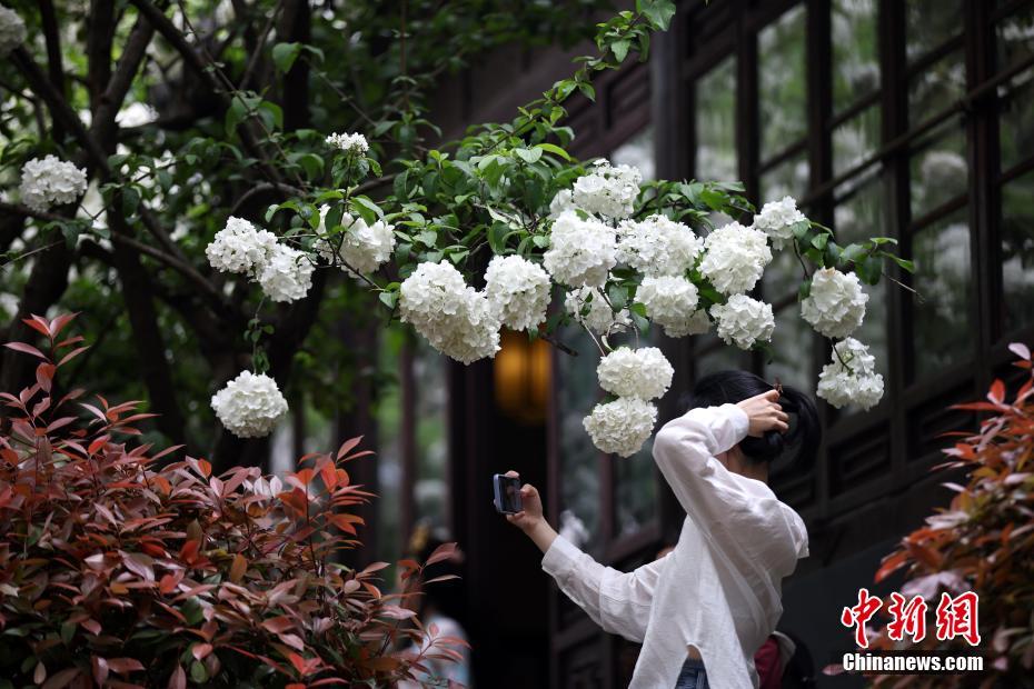 美淩格們來驗貨18歲天才小將居勒爾集錦：球風瀟灑，盤帶細膩