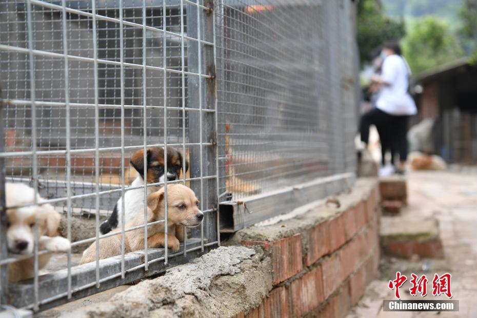 厄瓜多尔vs阿根廷：预测比赛胜负的五个因素