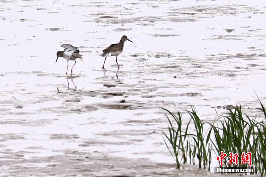 岳拇三浦恵理子肉欲交换