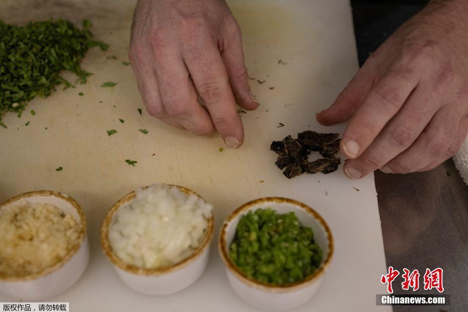 他撕开我奶罩揉吮我奶头A片