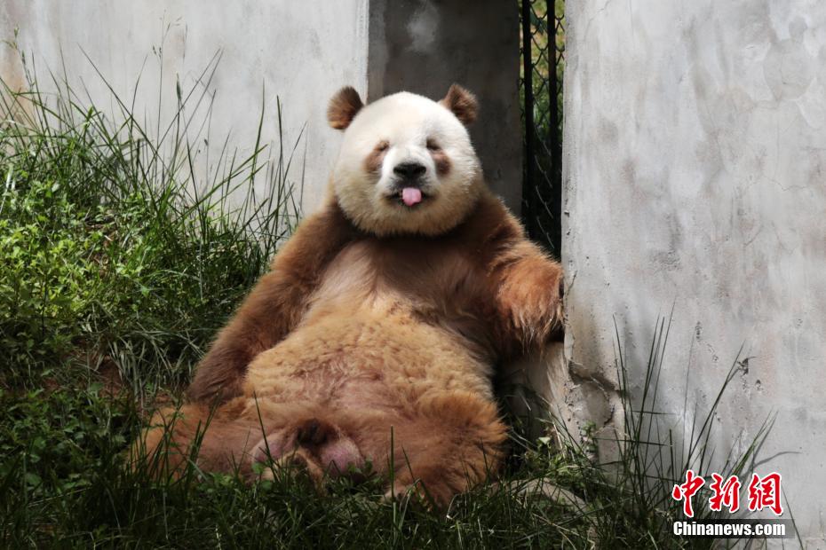 自慰