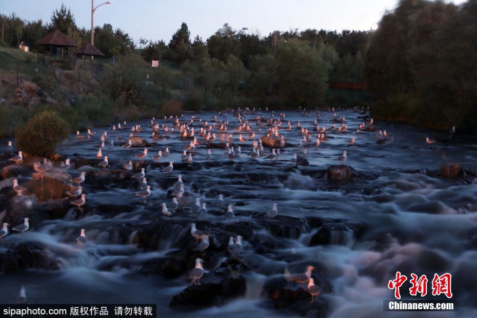 阴道按摩