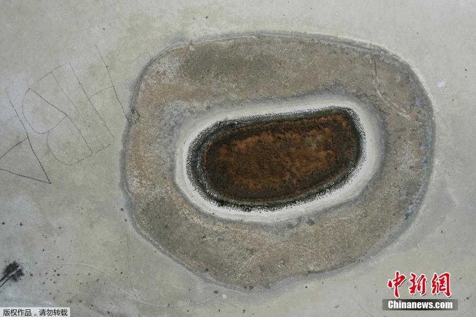 欧洲三级片网站