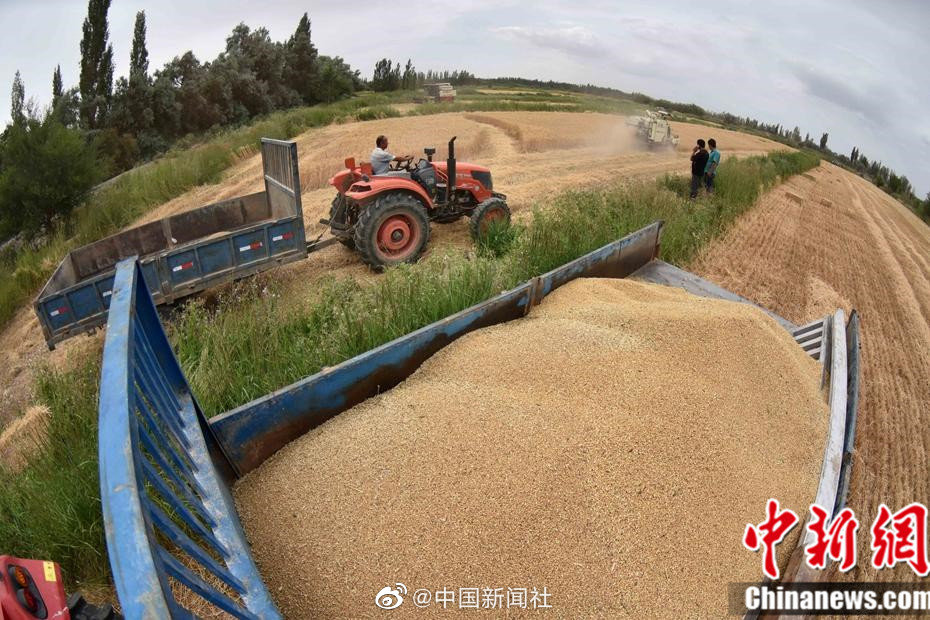 小K直播姬