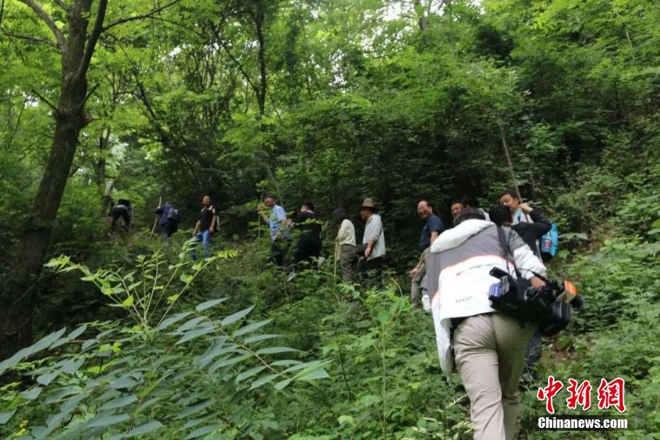 Av黄色网站永久免费关看