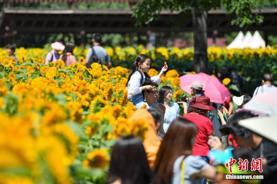 台湾三级伦理电影免费播放