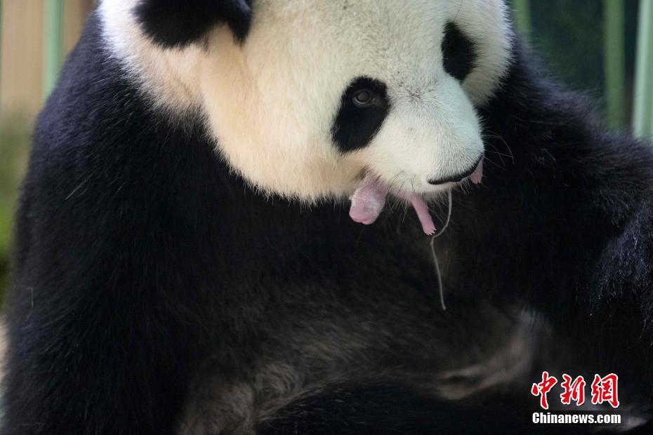 中国式小伙操逼Hd